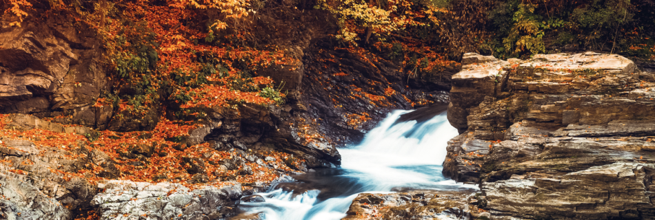 Streams with red and orange leaves in the background