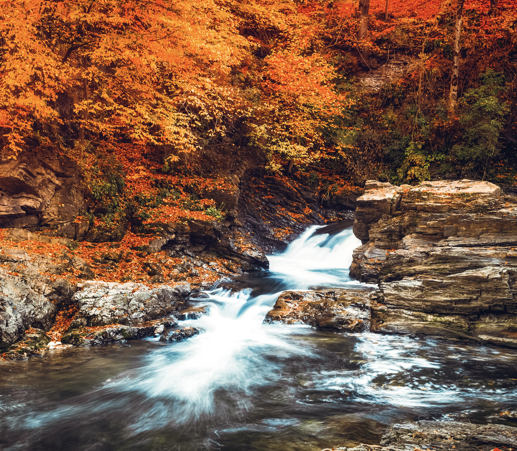 Streams with red and orange leaves in the background